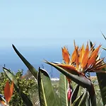Casa Pinos * Icod De Los Vinos