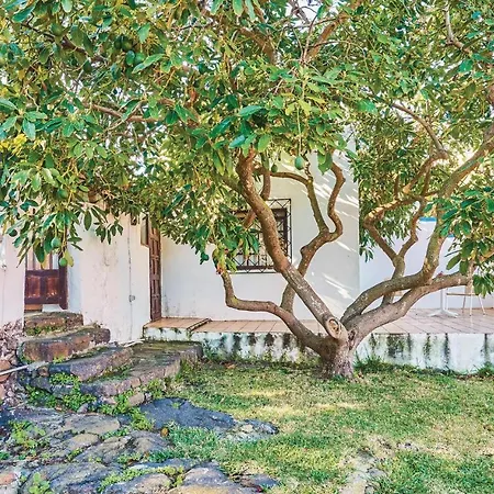 Casa Pinos 伊科德·德·洛斯·维诺斯