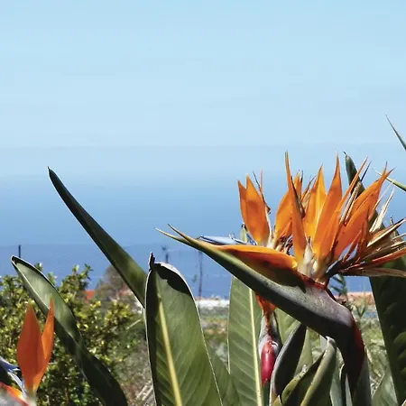 Casa Pinos * Icod De Los Vinos