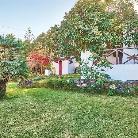 Casa Pinos Nyaraló Icod de los Vinos