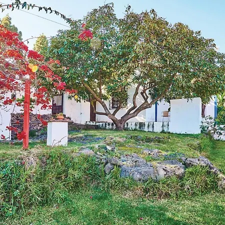 Casa Pinos
