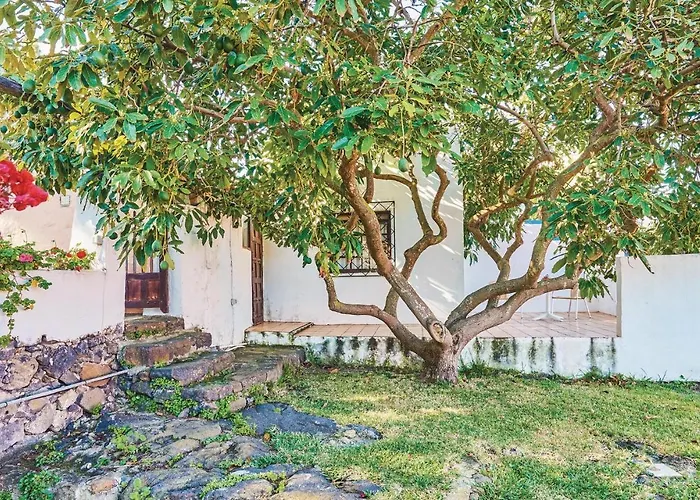 Casa Pinos Icod De Los Vinos